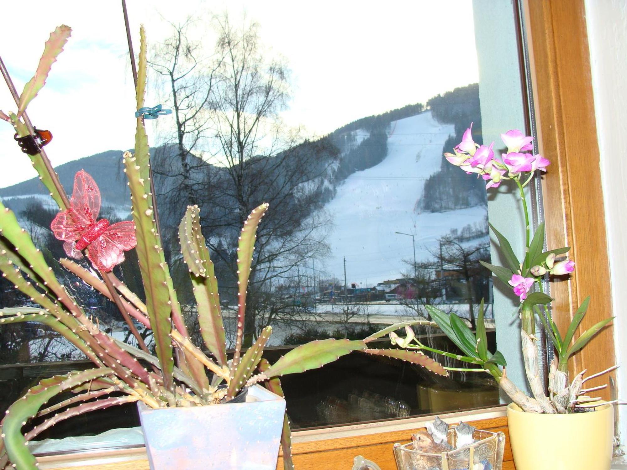 Appartement-Reiteralm Schladming Zewnętrze zdjęcie